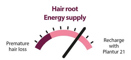 Hair root Energy supply