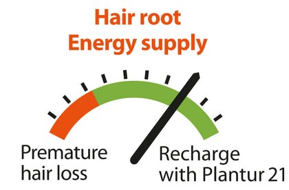 Hair root Energy supply
